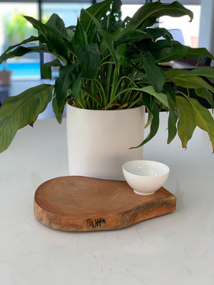 Silky Oak & Spotted Gum Boards with Condiment, Dip & Oil Dishes