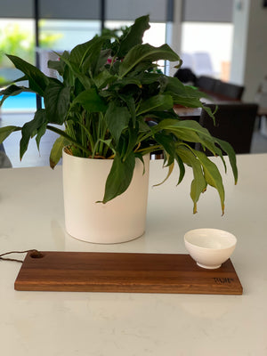 Silky Oak & Spotted Gum Boards with Condiment, Dip & Oil Dishes